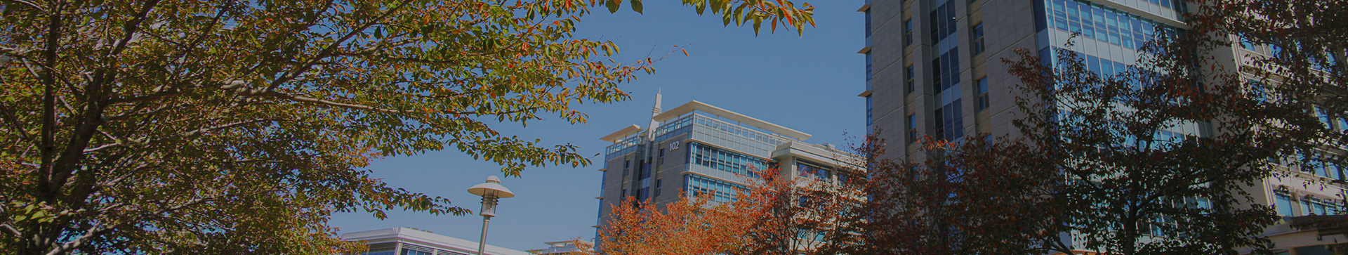 Adjunct Faculty