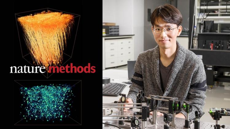 Examining Live Brains with New Adaptive-Optics Technology